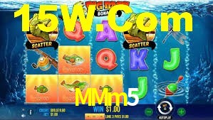 Premium Interface MMm5